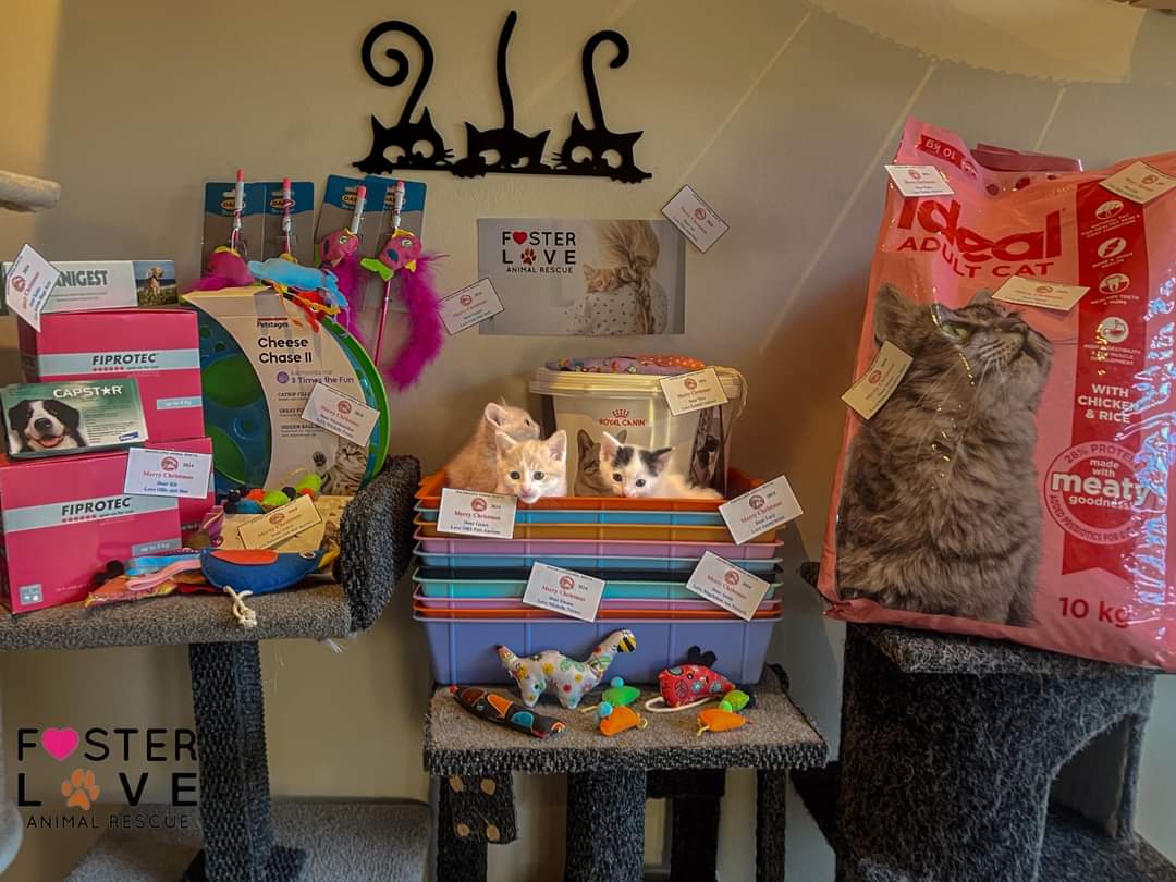 Foster Love Animal Rescue